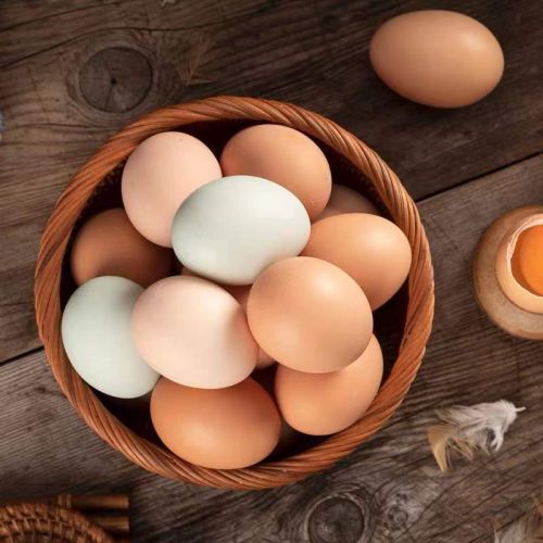 遼寧土雞蛋營(yíng)養(yǎng)價(jià)值